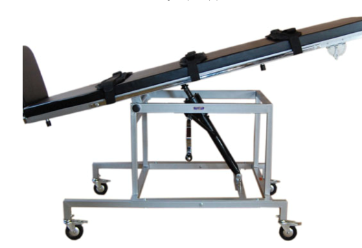 Tilt Table Test Willard Walker Heart Institute
